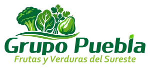 grupo puebla